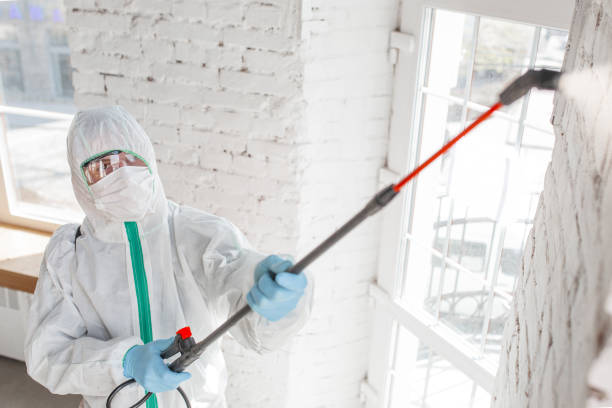 Best Post-Construction Mold Inspection  in Lake Katrine, NY
