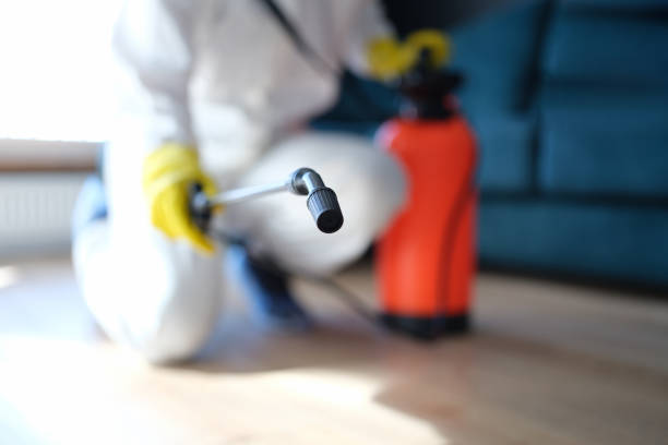 Best Mold Odor Removal Services  in Lake Katrine, NY