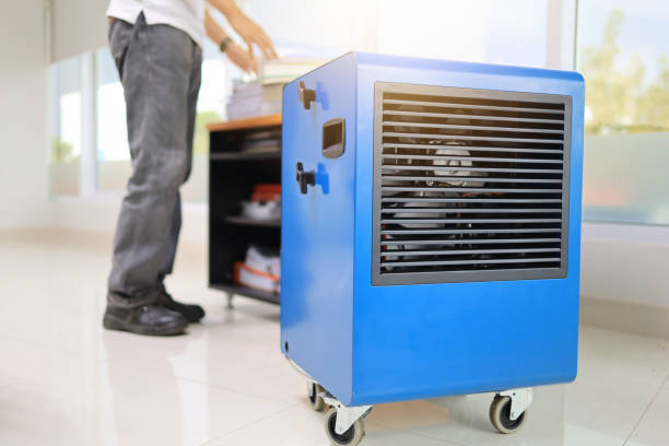 Best Air Quality Testing for Mold Spores  in Lake Katrine, NY