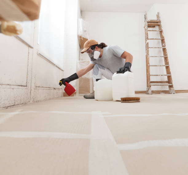 Best Mold Damage Restoration  in Lake Katrine, NY